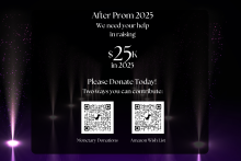 THS Prom Fundraising Campaign